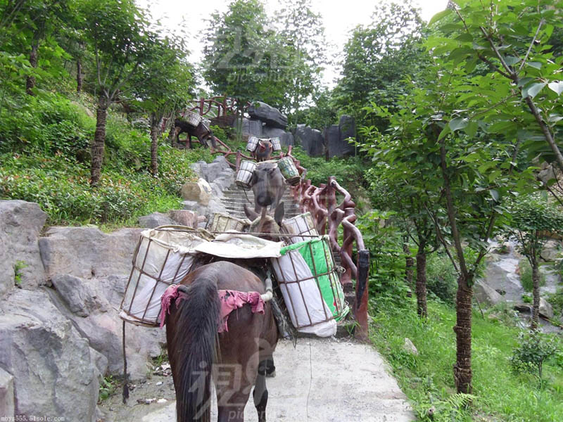 平顶山骡马运输队电话